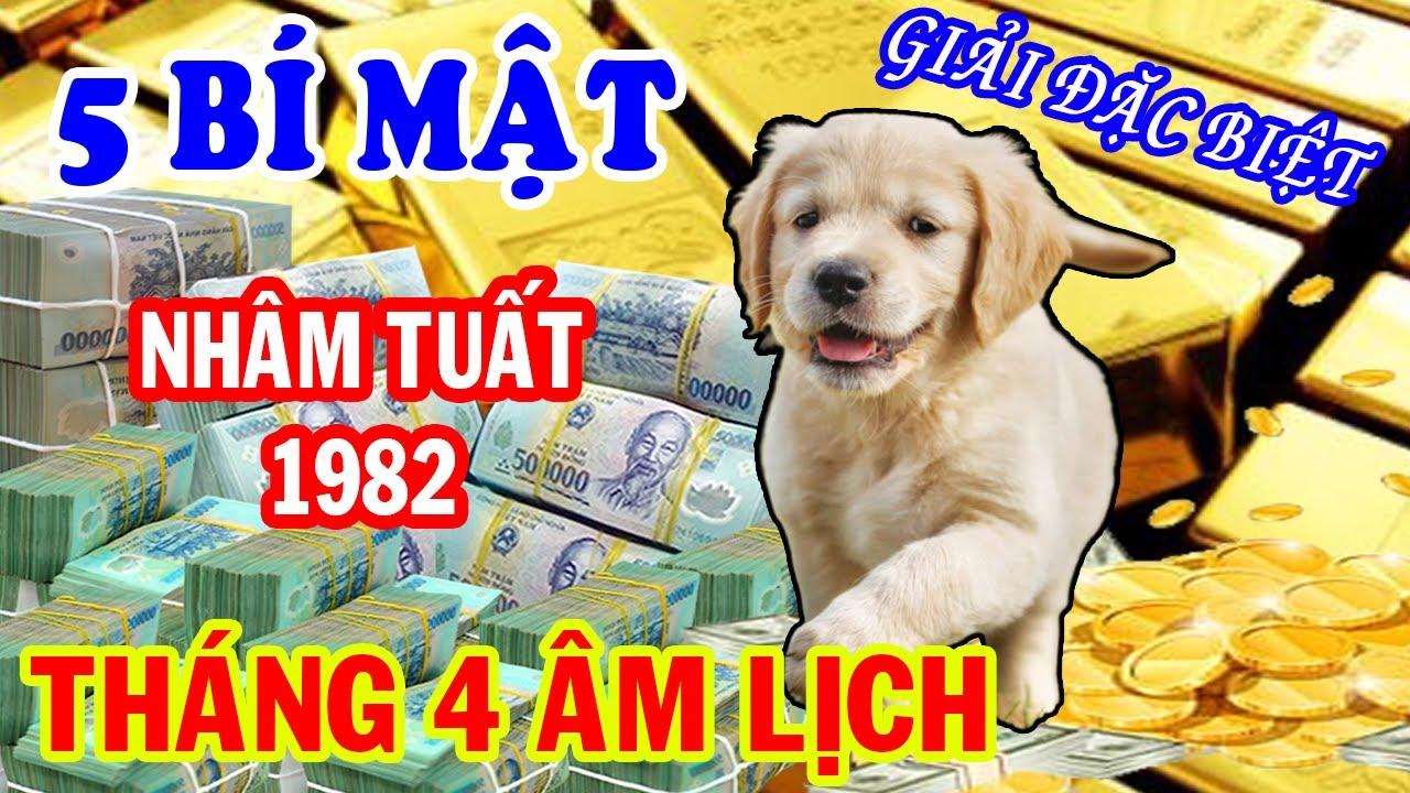 Khám phá những bức ảnh đánh bài độc đáo và hấp dẫn dành cho game thủ Việt