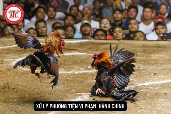 Khám phá cơ hội thắng lớn tại tai ku casino cùng những bí quyết chơi thắng tại tai ku casino