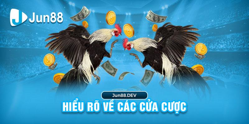 Khám phá cách chơi cờ domino online hiệu quả cùng mẹo chiến thắng khi tham gia cờ domino online