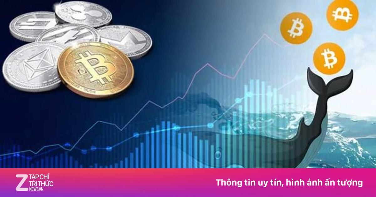 Khám phá thế giới Wacky Panda cùng những bí quyết chiến thắng Wacky Panda hấp dẫn