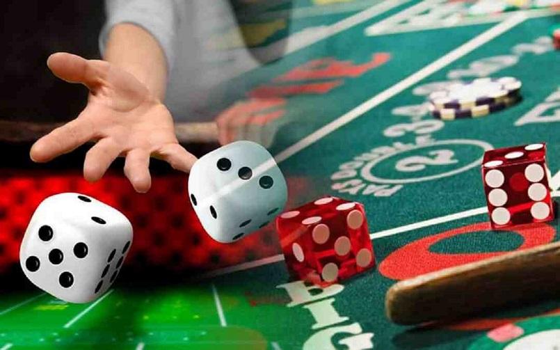 Khám phá nền tảng momo và bí quyết sử dụng trackid sp 006 hiệu quả