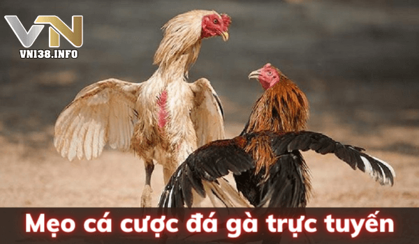 Khám phá tro choi danh bai hấp dẫn cùng các bí quyết chiến thắng tro choi danh bai trực tuyến